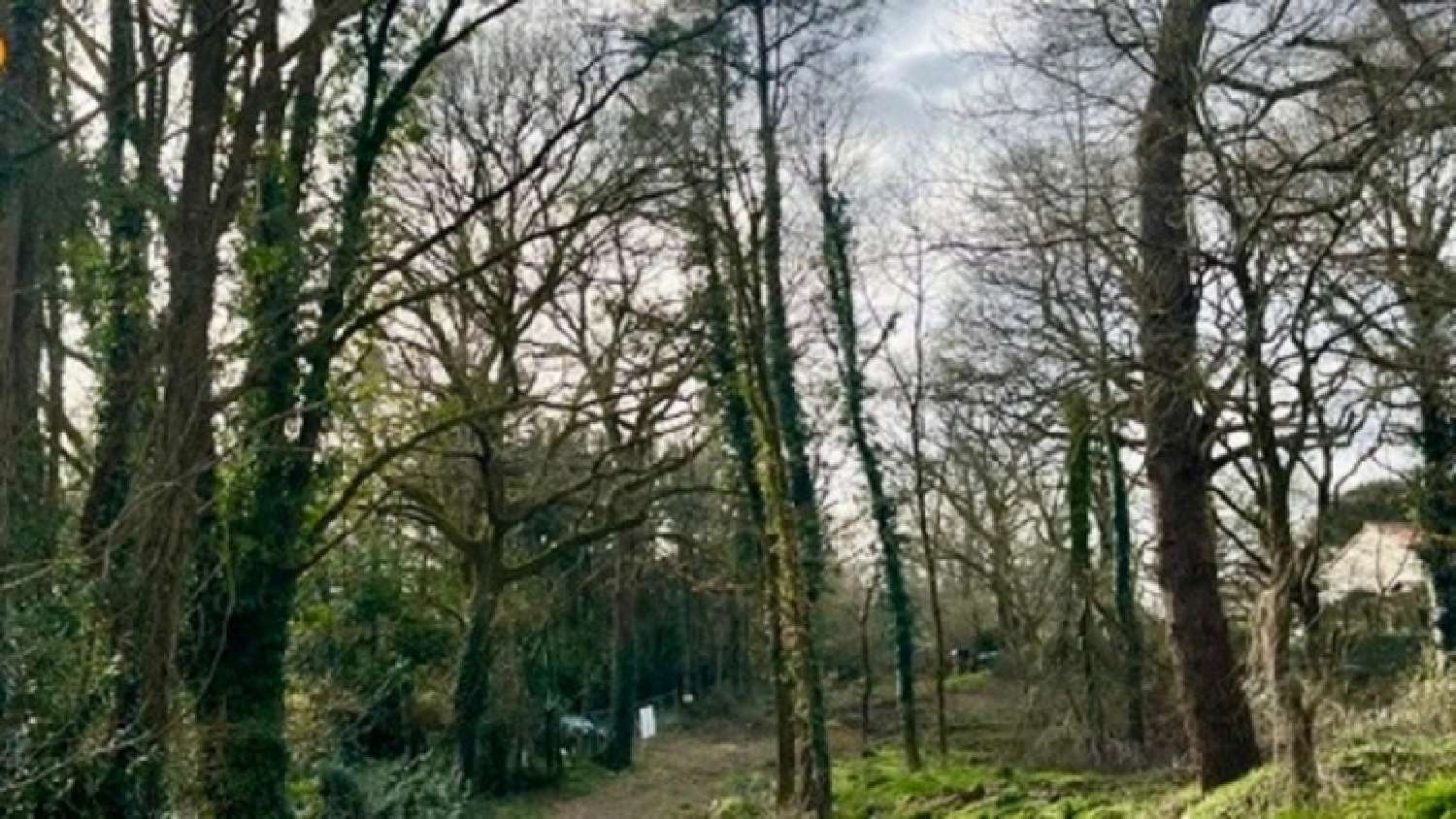  te koop huis La Roche-sur-Yon Vendée 6