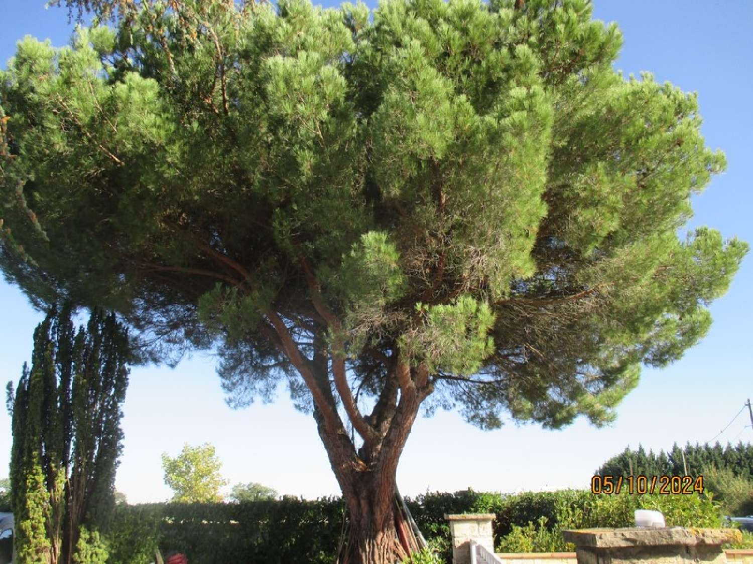 kaufen Haus La Tour-du-Crieu Ariège 2