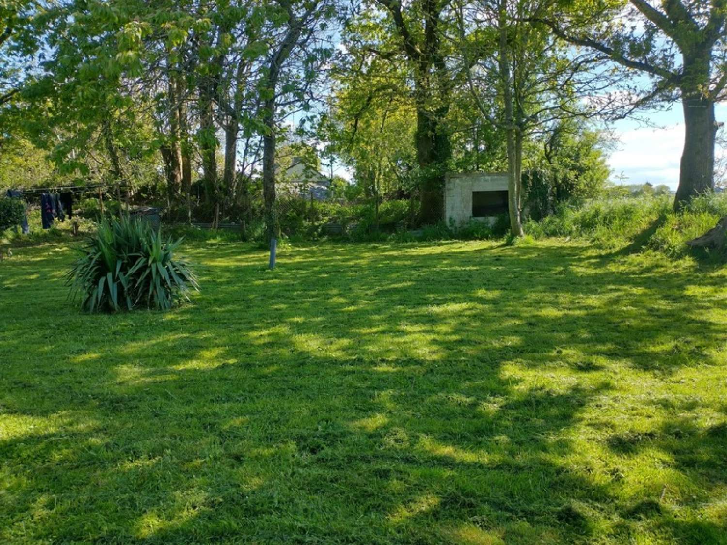  kaufen Haus Landeleau Finistère 6