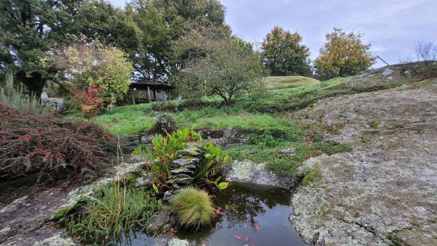  kaufen Haus Largeasse Deux-Sèvres 2