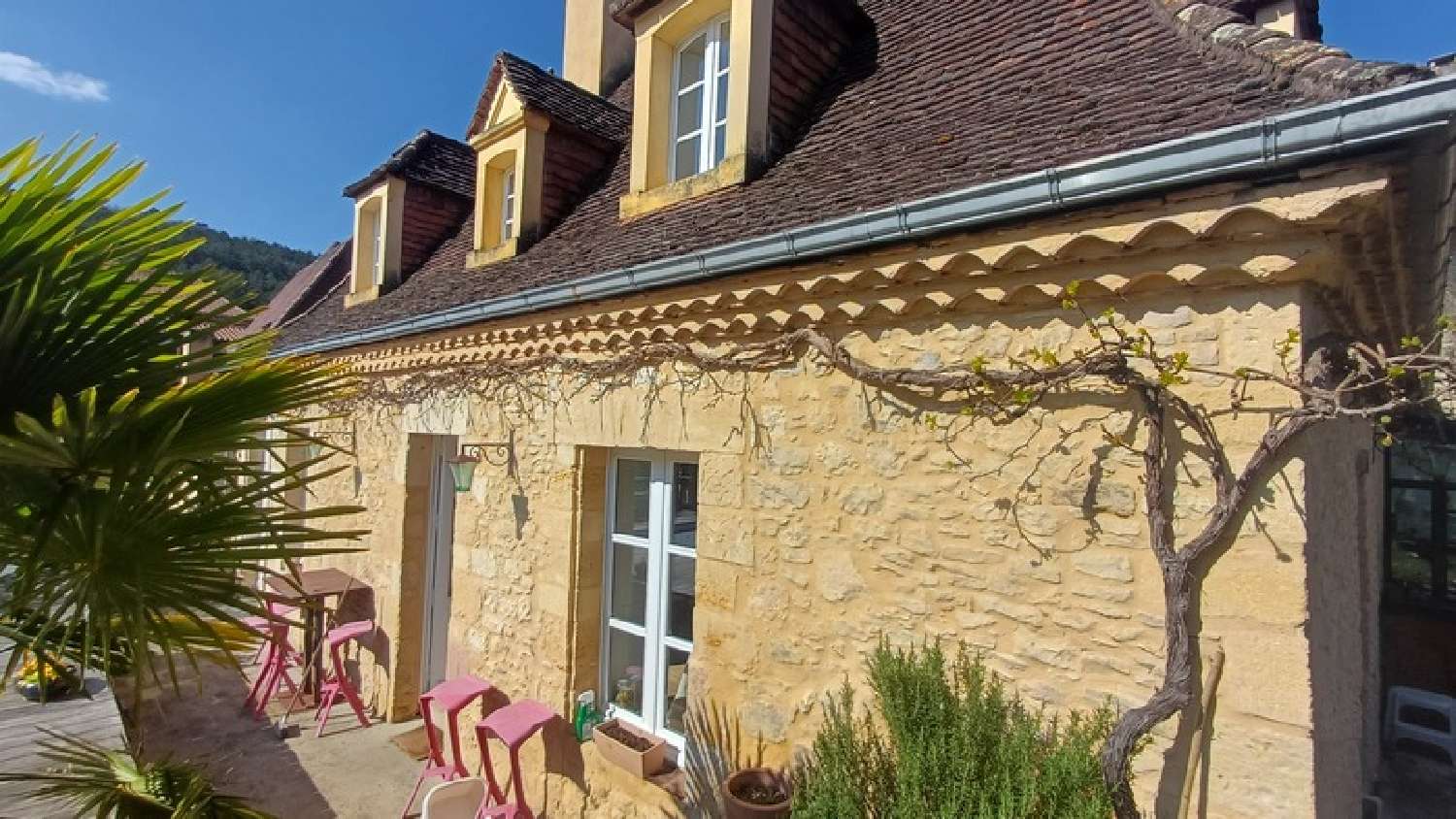 for sale house Le Bugue Dordogne 3