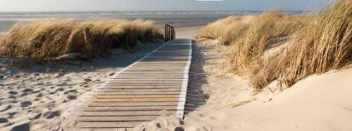 Le Grau-du-Roi Gard casa foto 7275570