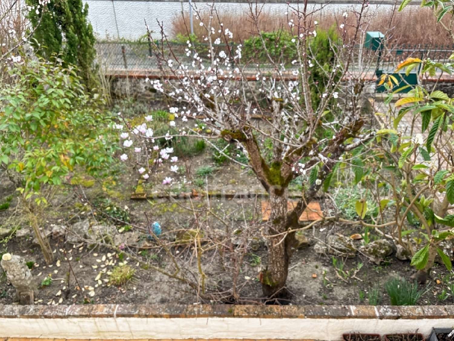 kaufen Haus Le Mans Sarthe 7