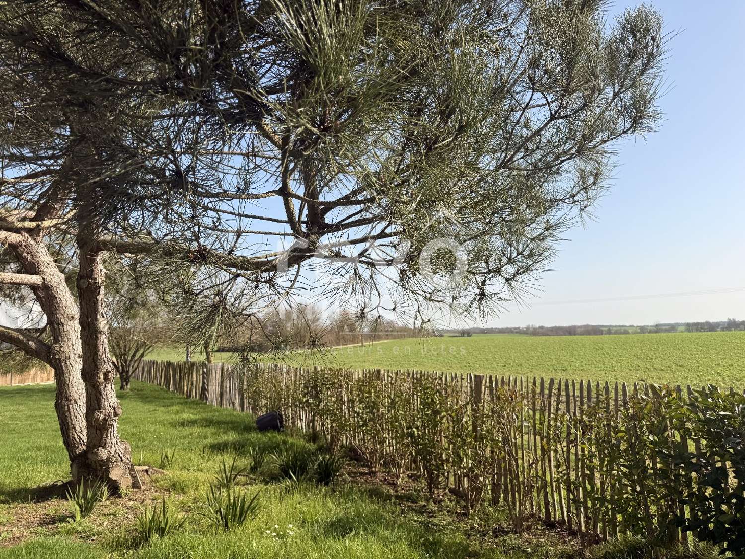  kaufen Haus Les Brouzils Vendée 2