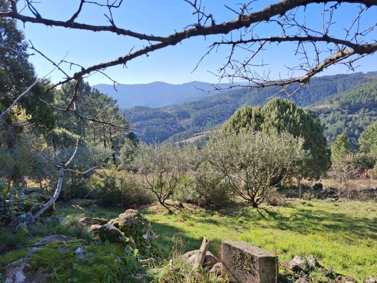  kaufen Haus Les Vans Ardèche 3