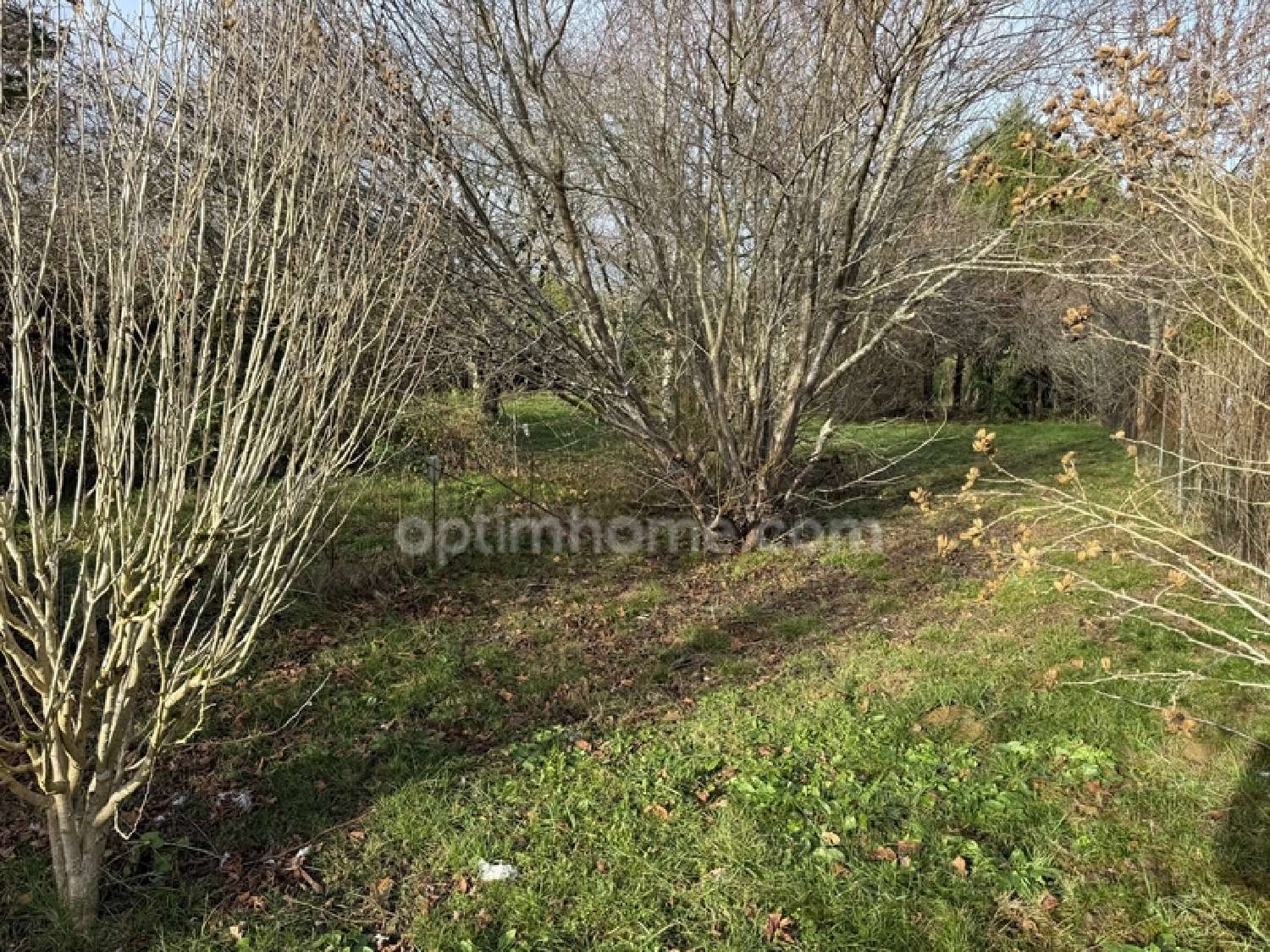  à vendre maison Lévignac Haute-Garonne 5