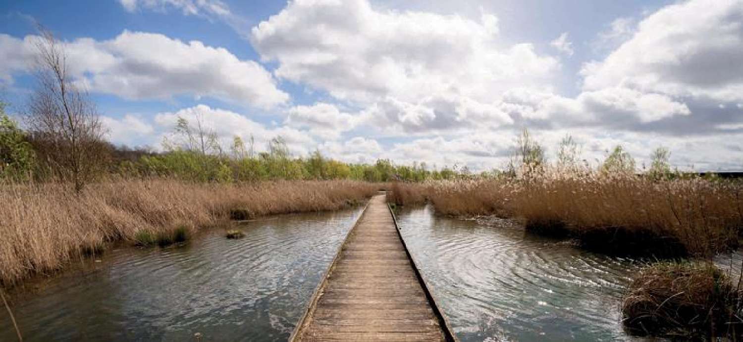  te koop huis Lieusaint Seine-et-Marne 6