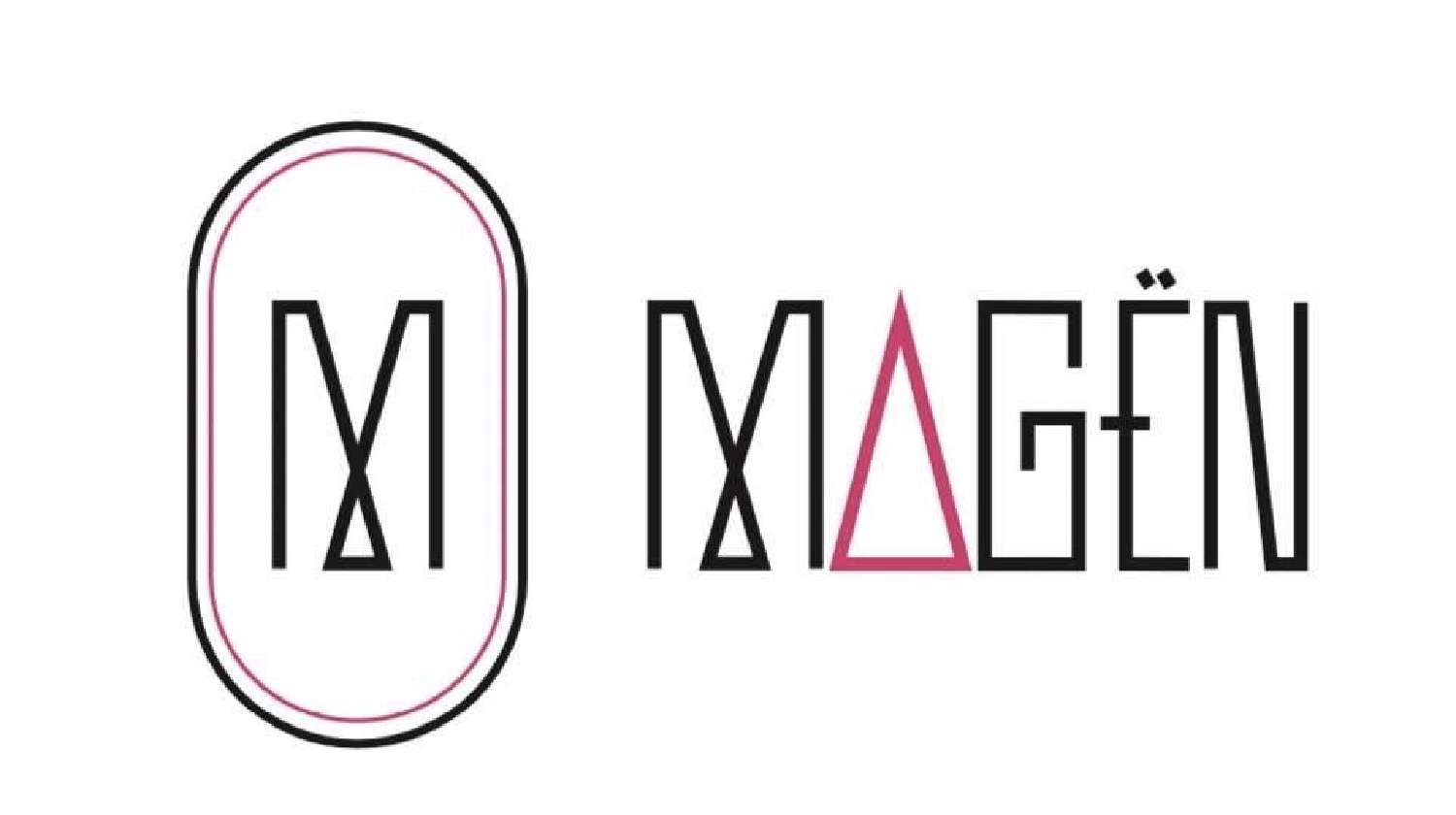 te koop huis Lille Nord 1