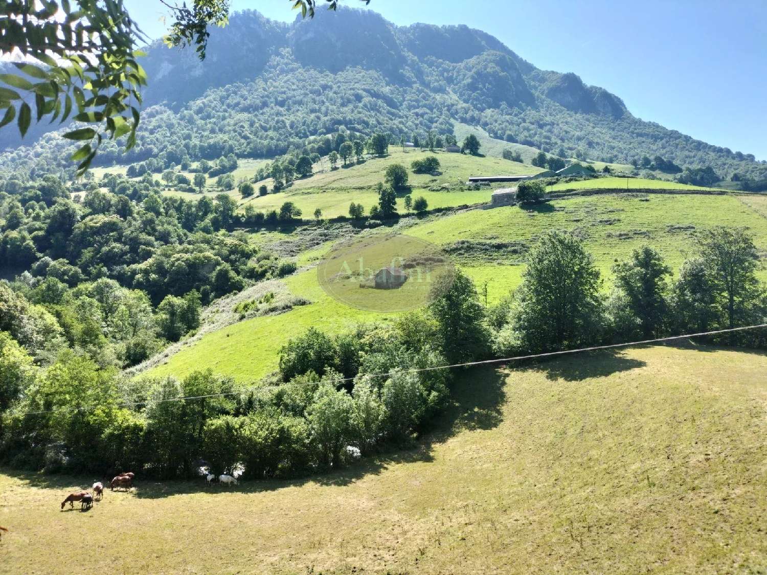  à vendre maison Lourdios-Ichère Pyrénées-Atlantiques 5