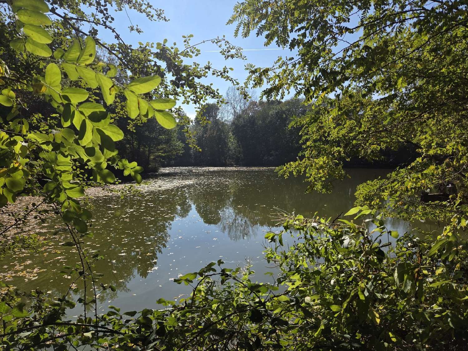  for sale house Louroux-de-Beaune Allier 3