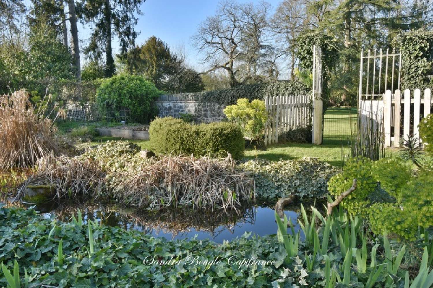 for sale house Louvigné Mayenne 4