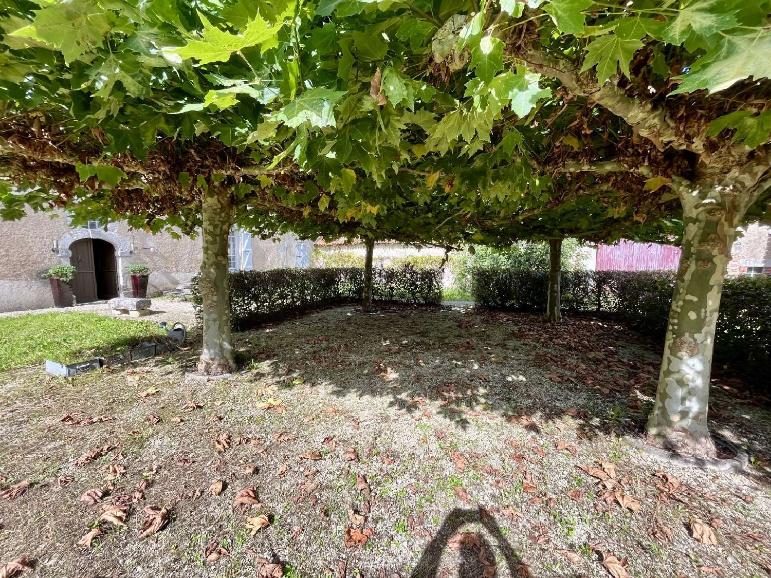  te koop huis Luchapt Vienne 5