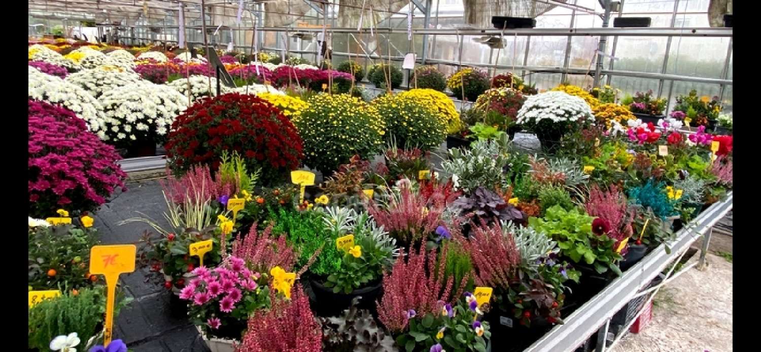 à vendre maison Lure Haute-Saône 4