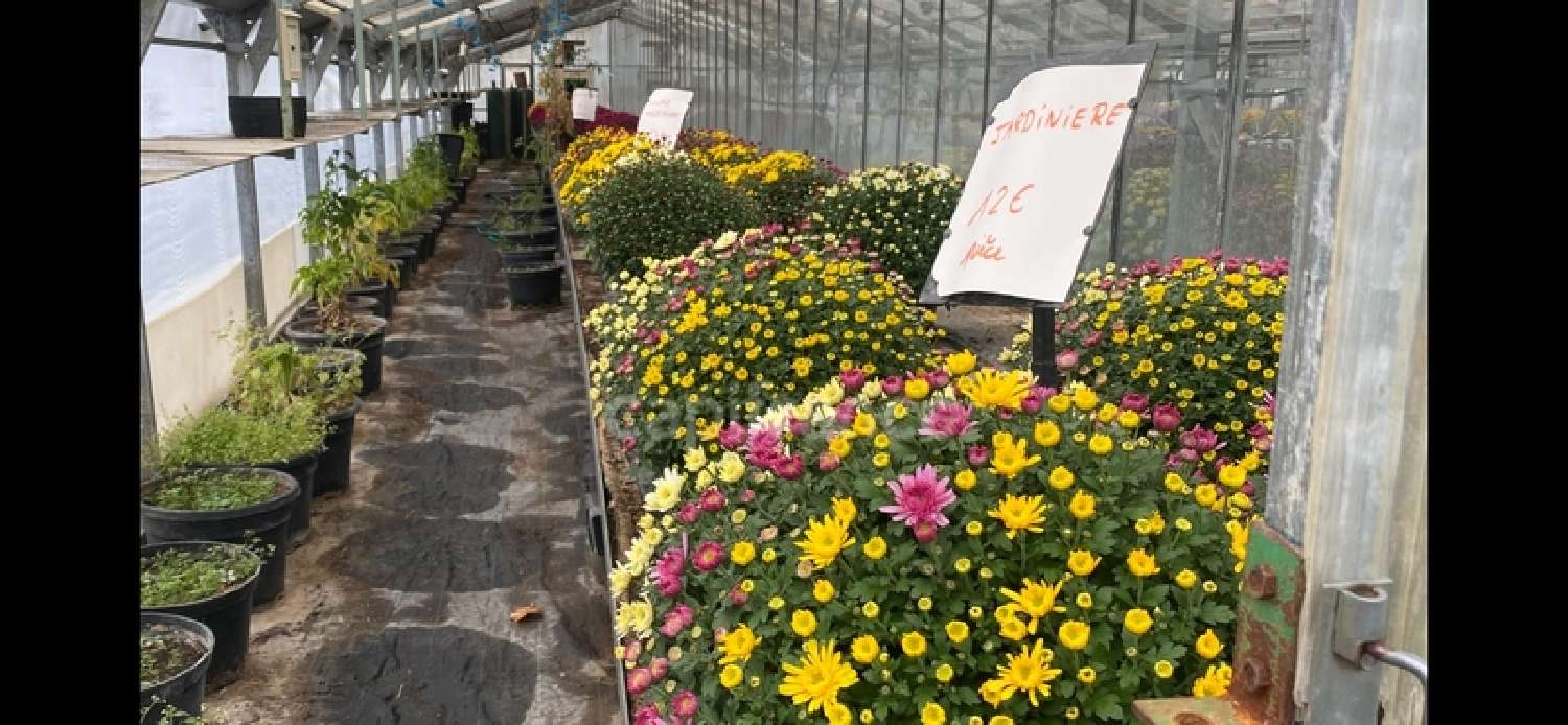 à vendre maison Lure Haute-Saône 5