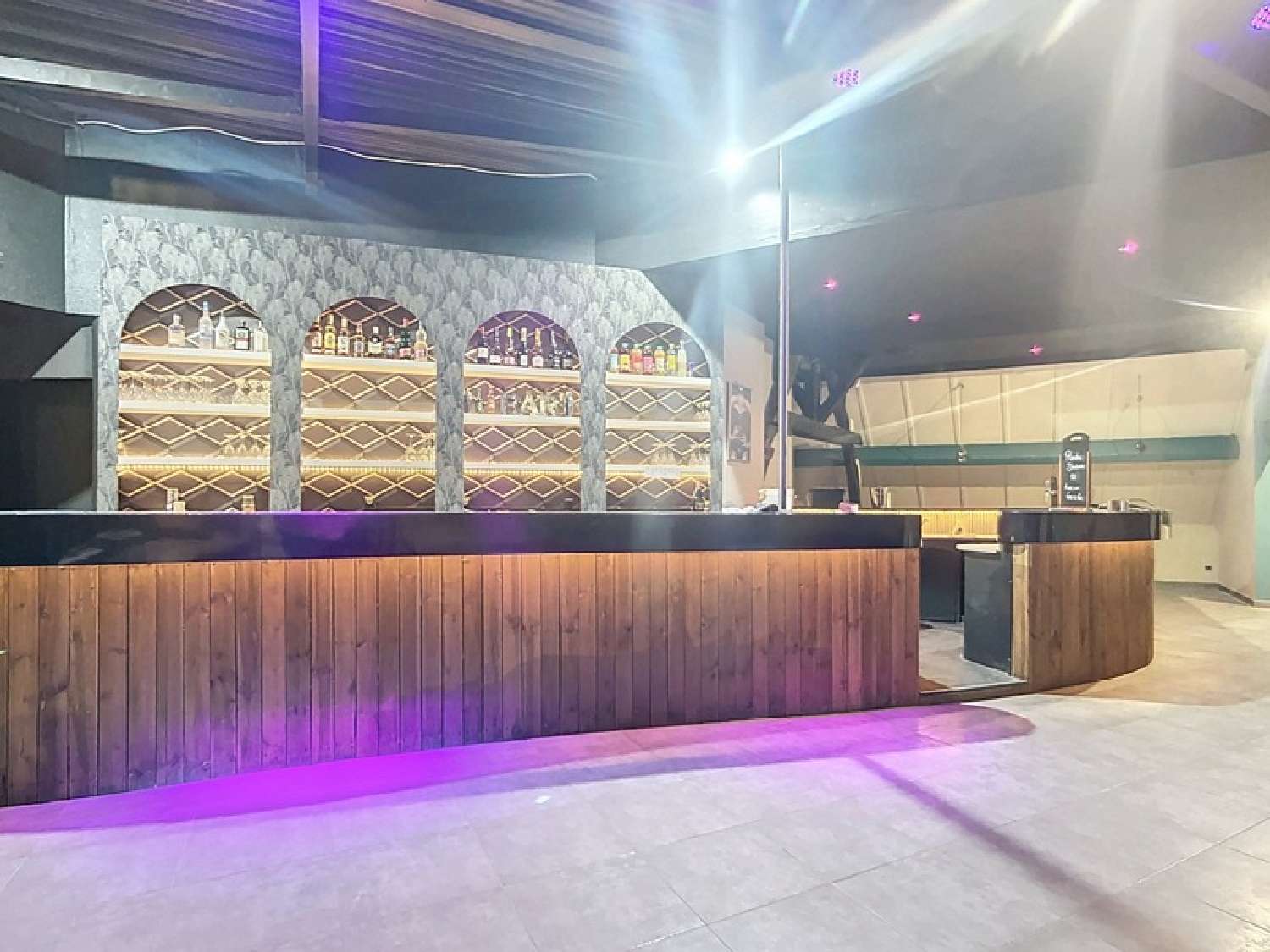 for sale house Lussault-sur-Loire Indre-et-Loire 5