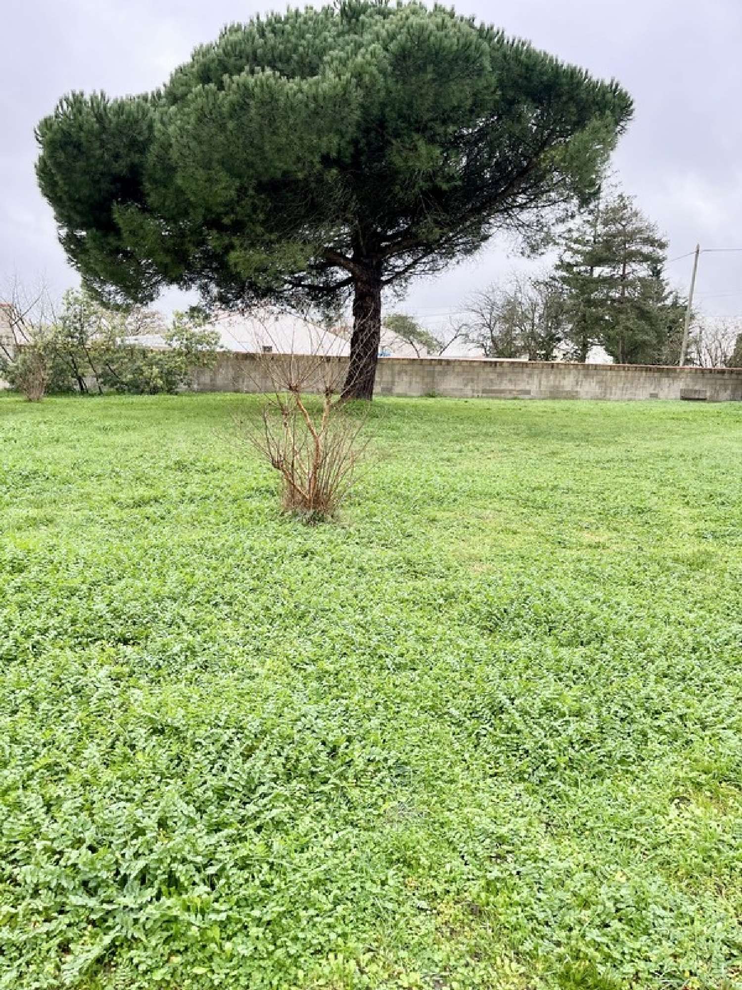  en venta casa Machecoul Loire-Atlantique 7