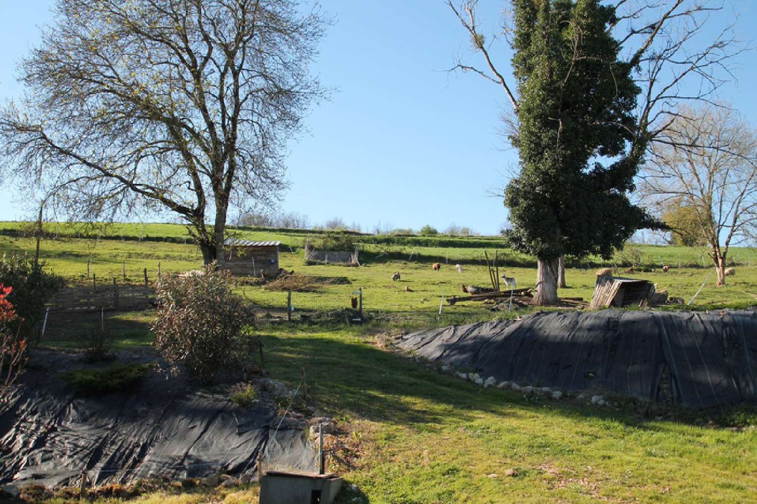  en venta casa Marmande Lot-et-Garonne 3