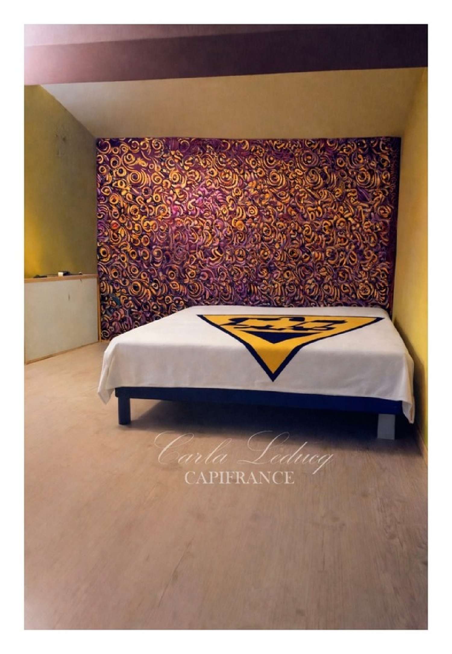  for sale house Marsais Charente-Maritime 8