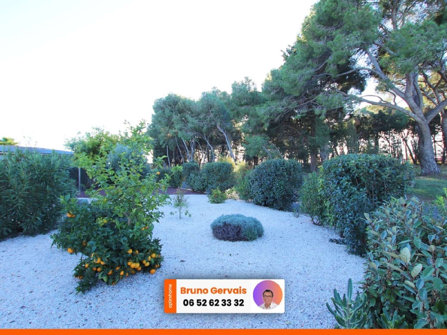  kaufen Haus Marseillan Hérault 5