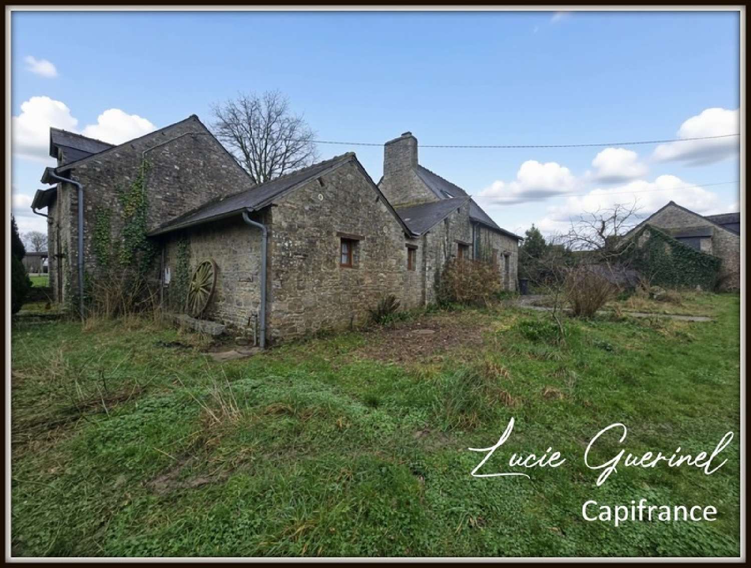  à vendre maison Martigné-Ferchaud Ille-et-Vilaine 2