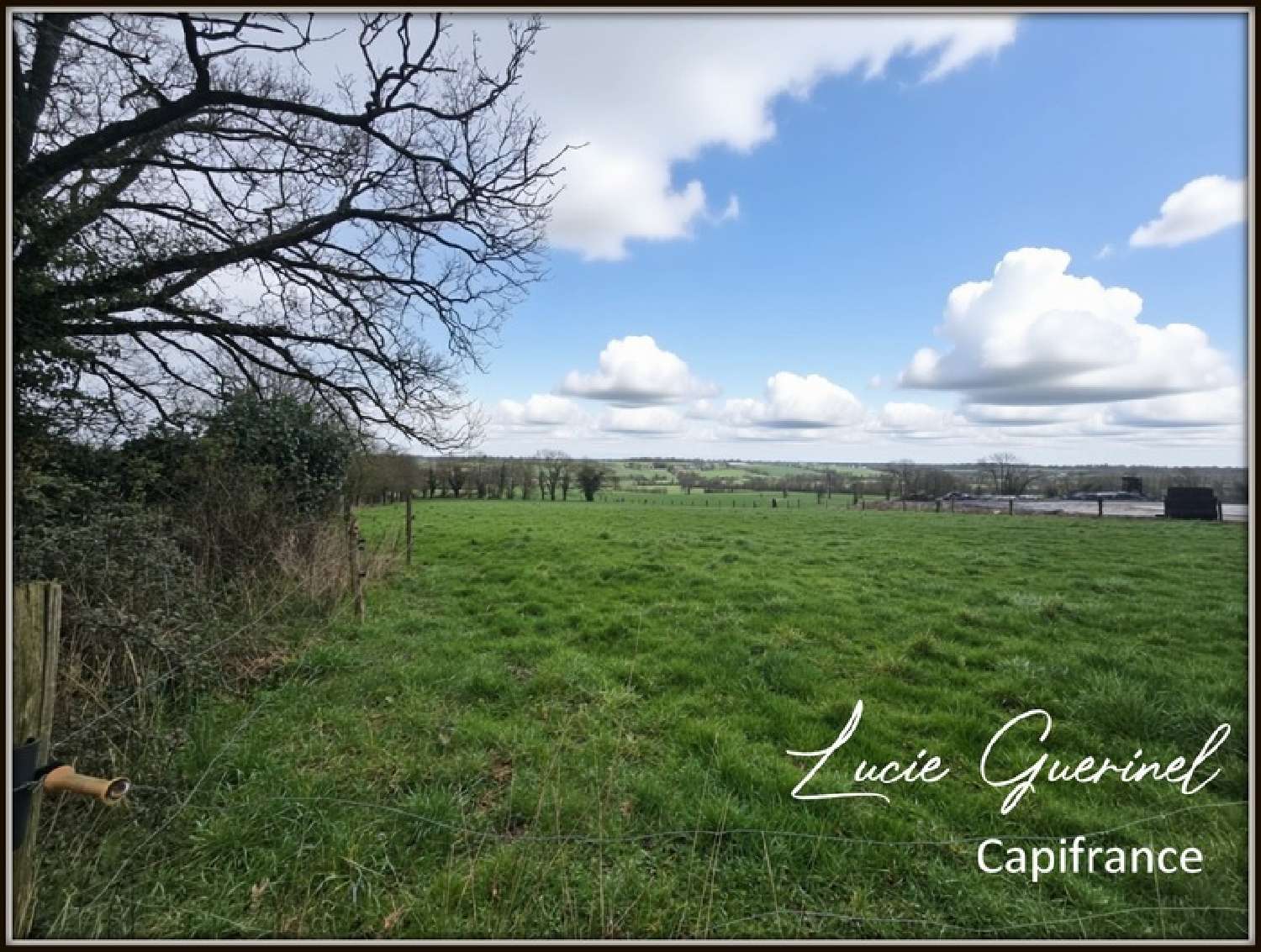  à vendre maison Martigné-Ferchaud Ille-et-Vilaine 3