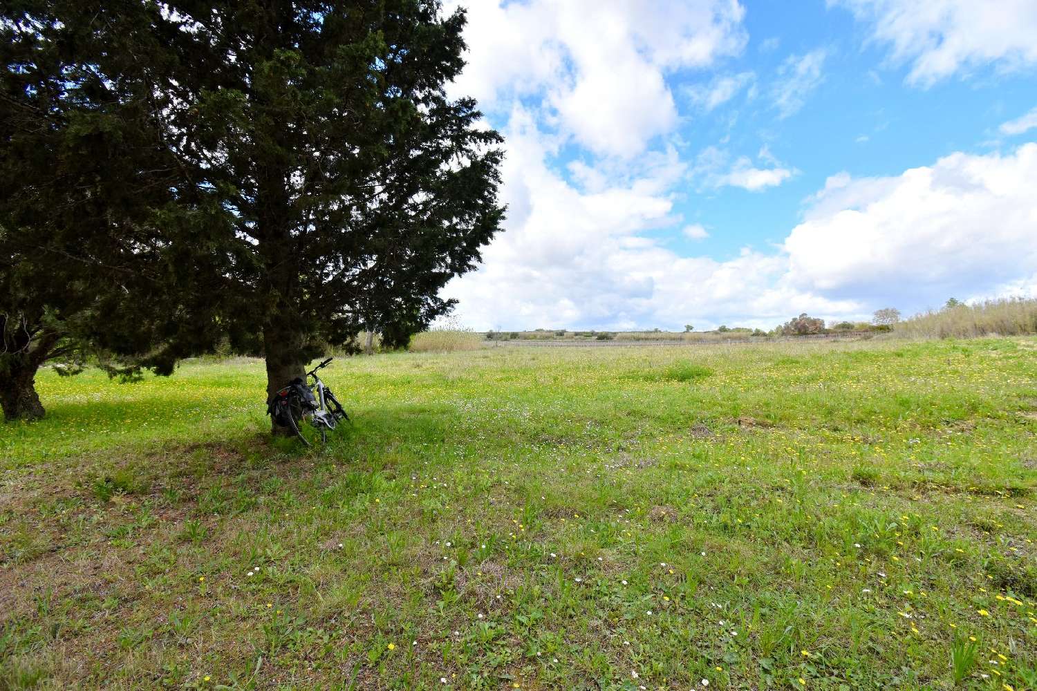  te koop huis Mèze Hérault 2