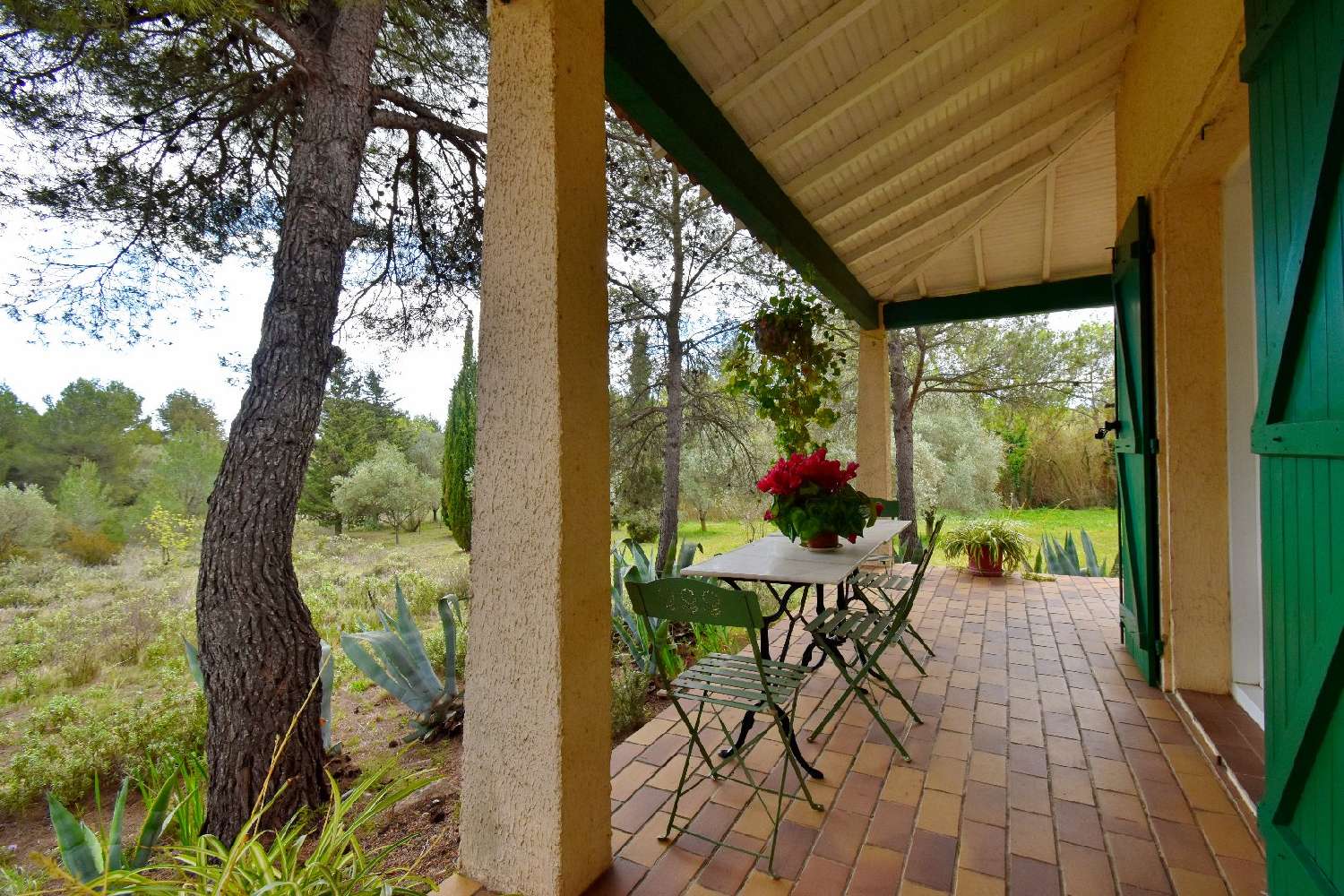  te koop huis Mèze Hérault 7