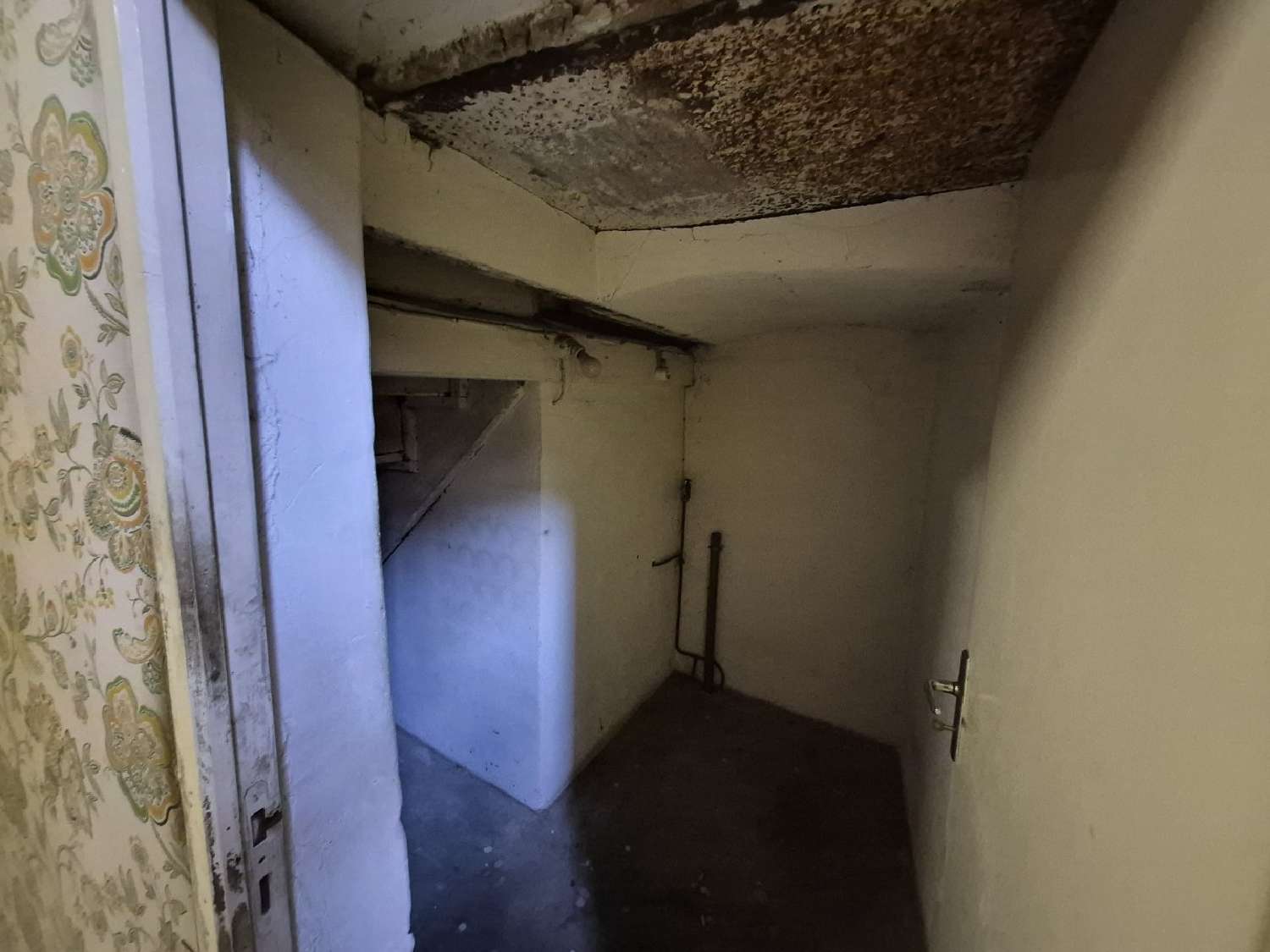  à vendre maison Millau Aveyron 4