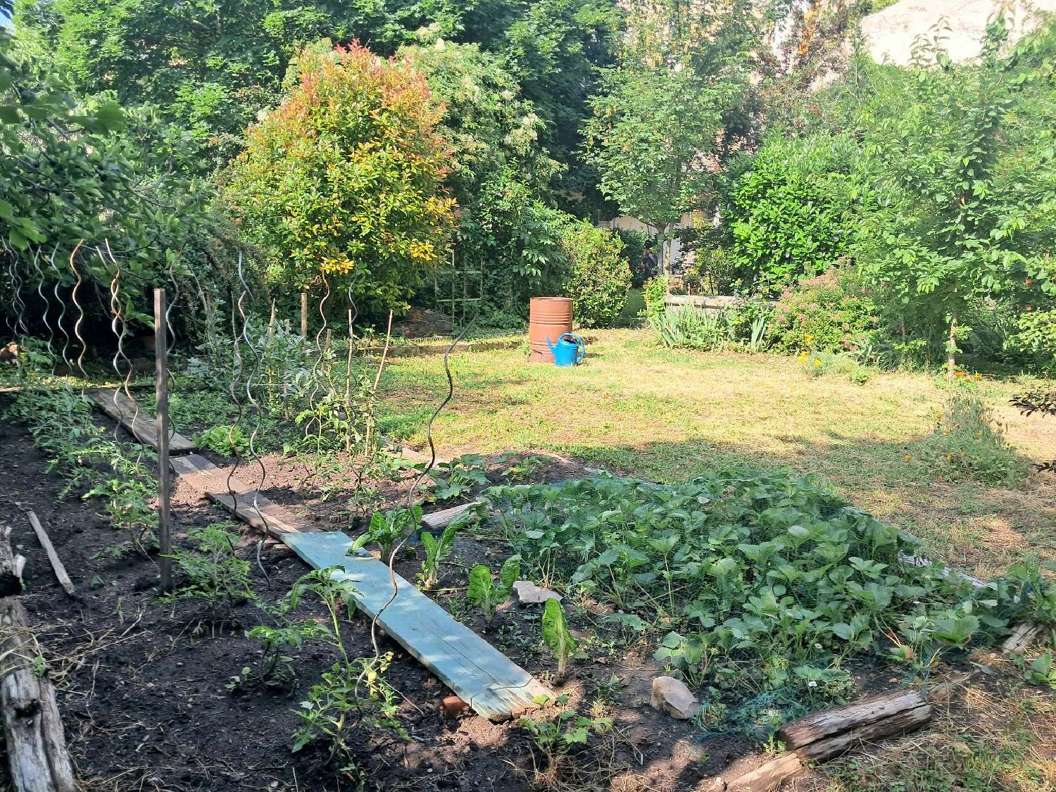  à vendre maison Millau Aveyron 7