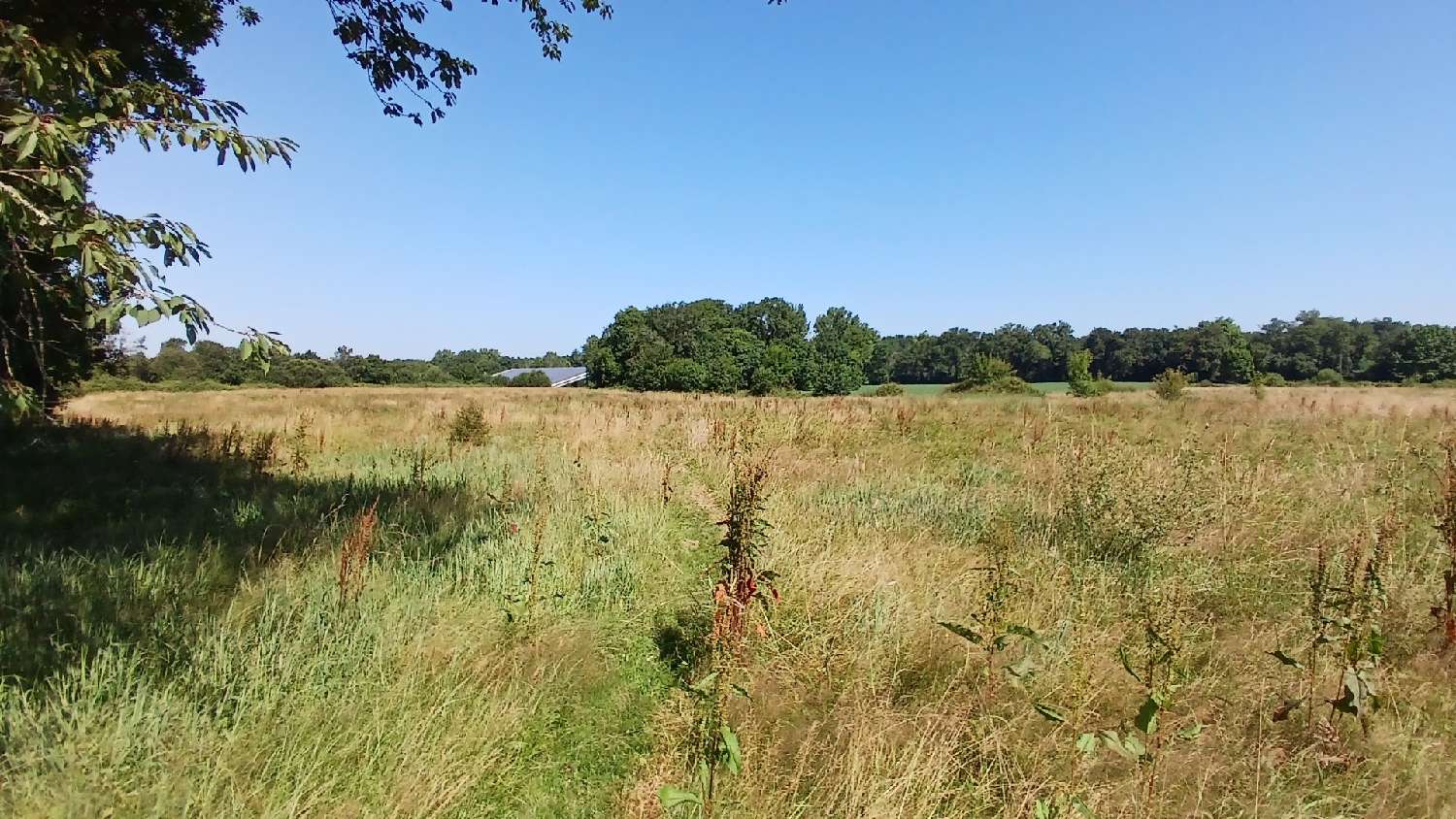  en venta casa Mimbaste Landes 1