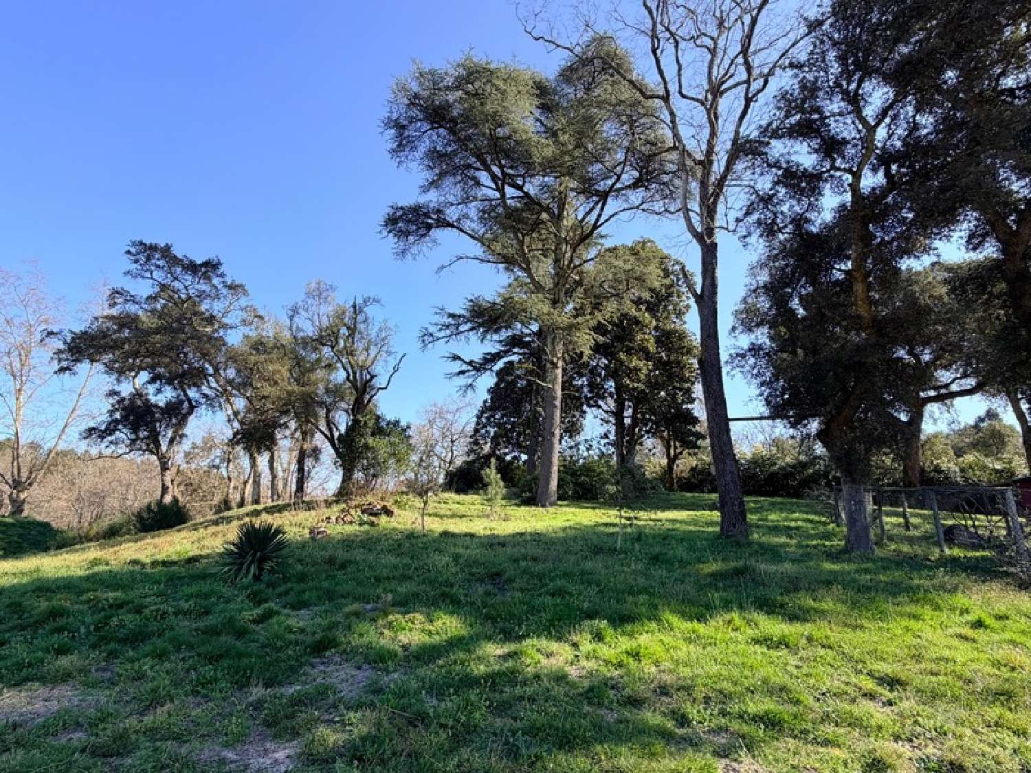  kaufen Haus Mimizan Landes 6