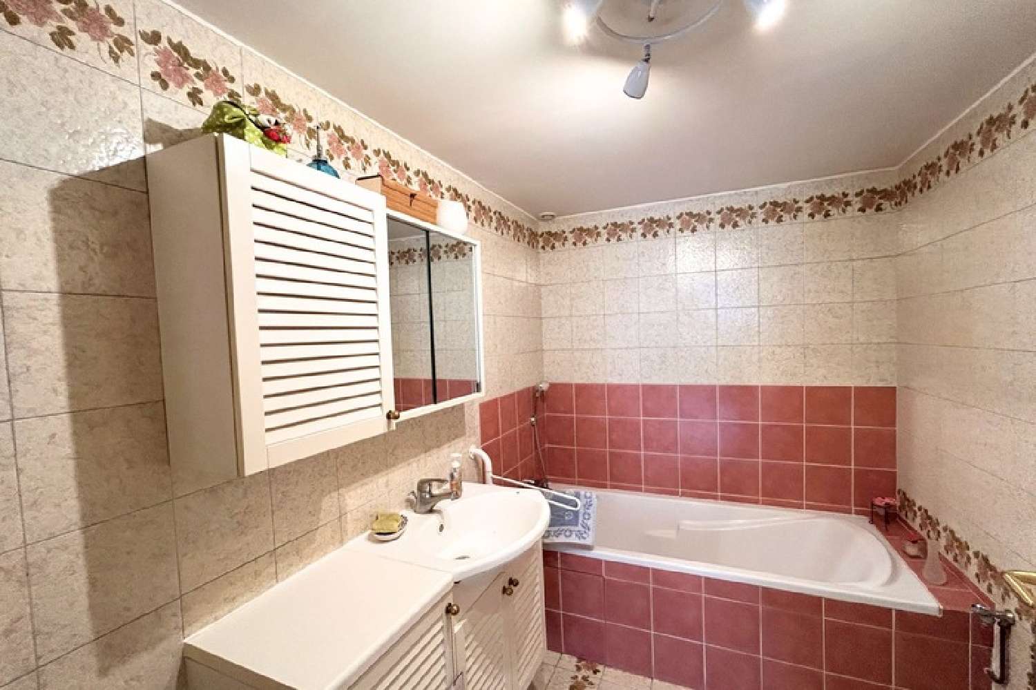 te koop huis Mions Rhône 8