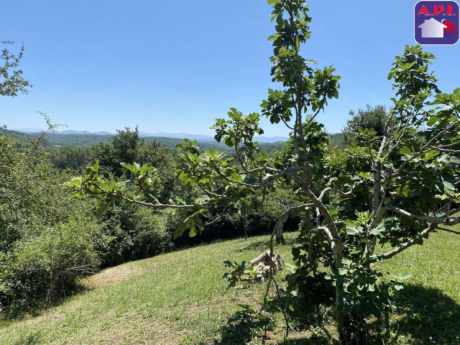  te koop huis Mirepoix Ariège 1