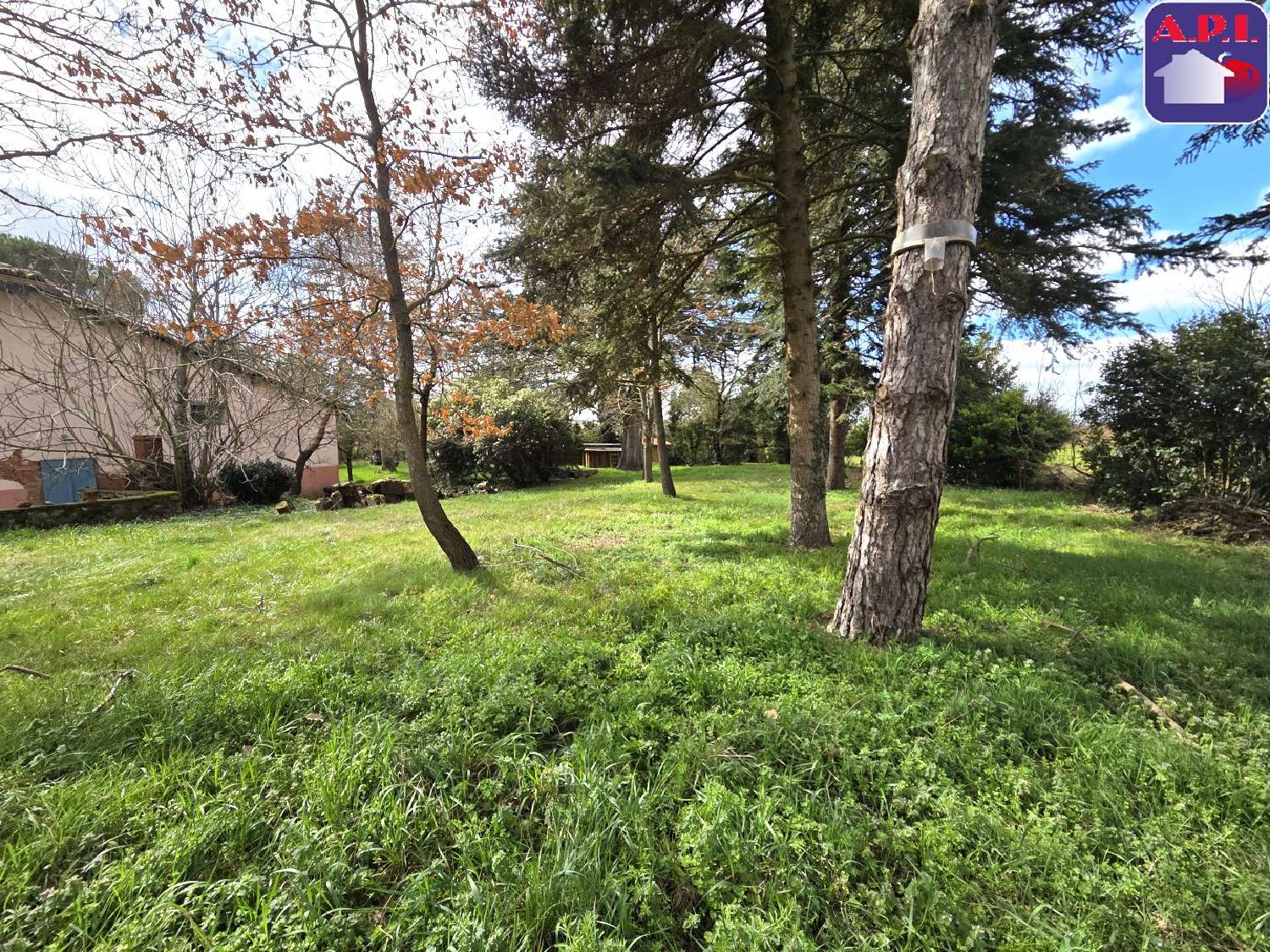  te koop huis Monestrol Haute-Garonne 2