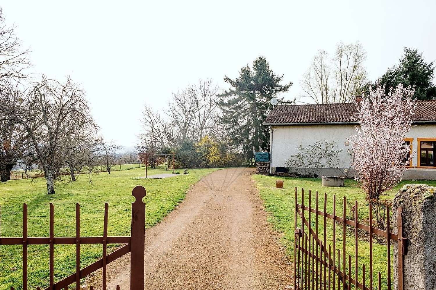  kaufen Haus Mons Puy-de-Dôme 2