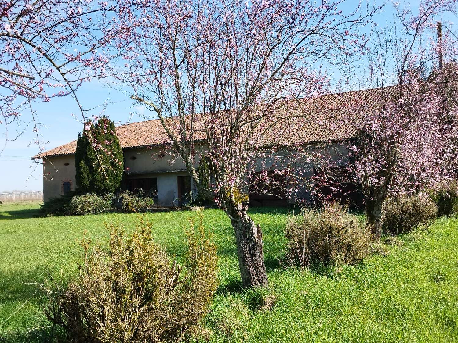  à vendre maison Montauban Tarn-et-Garonne 1