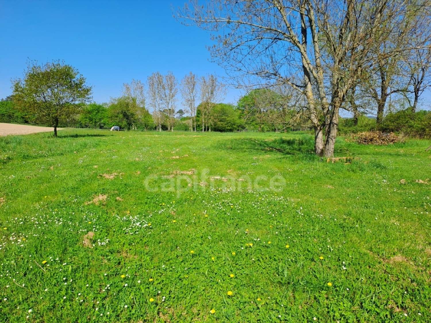 à vendre maison Montendre Charente-Maritime 3