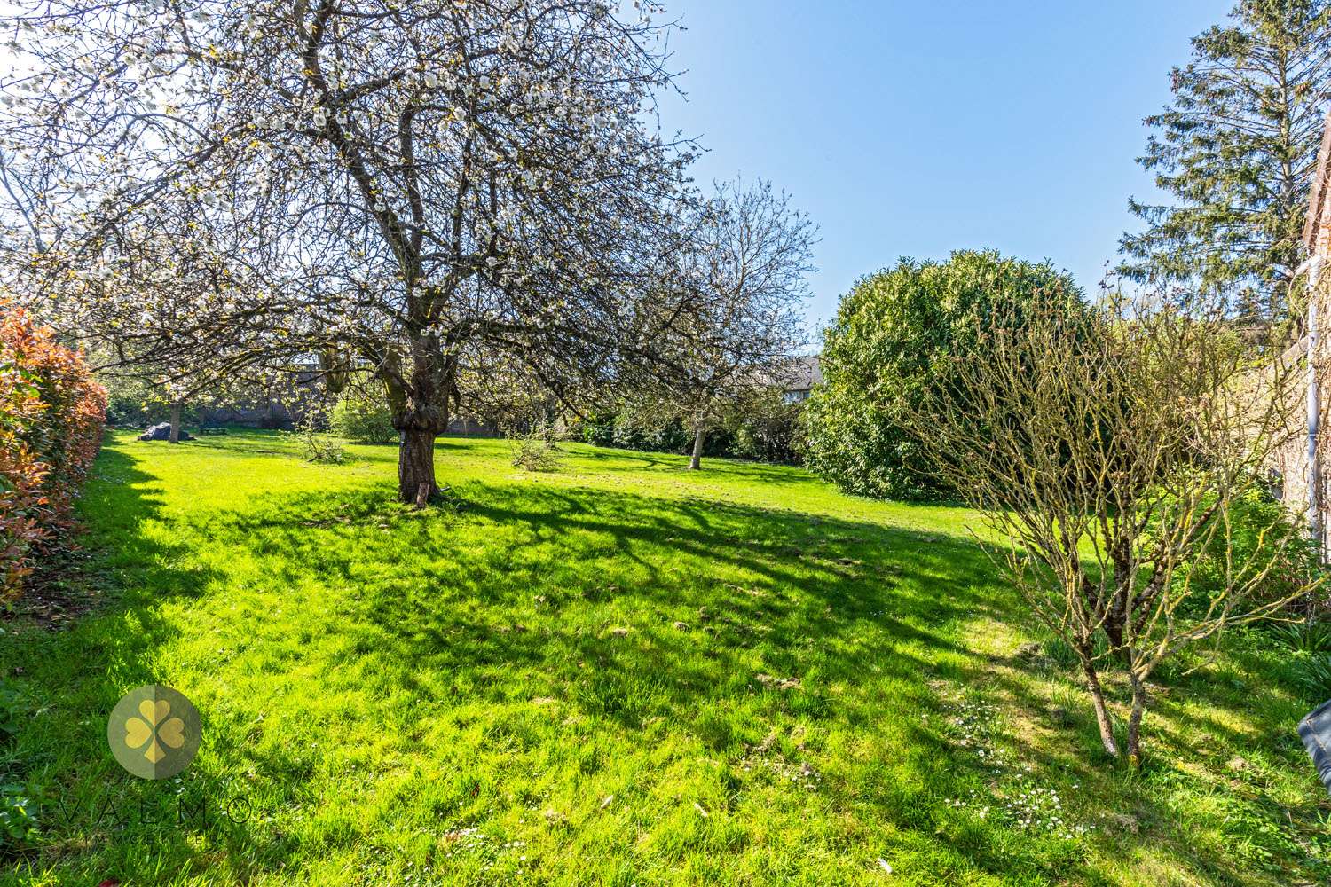 à vendre maison Montfort-l'Amaury Yvelines 5