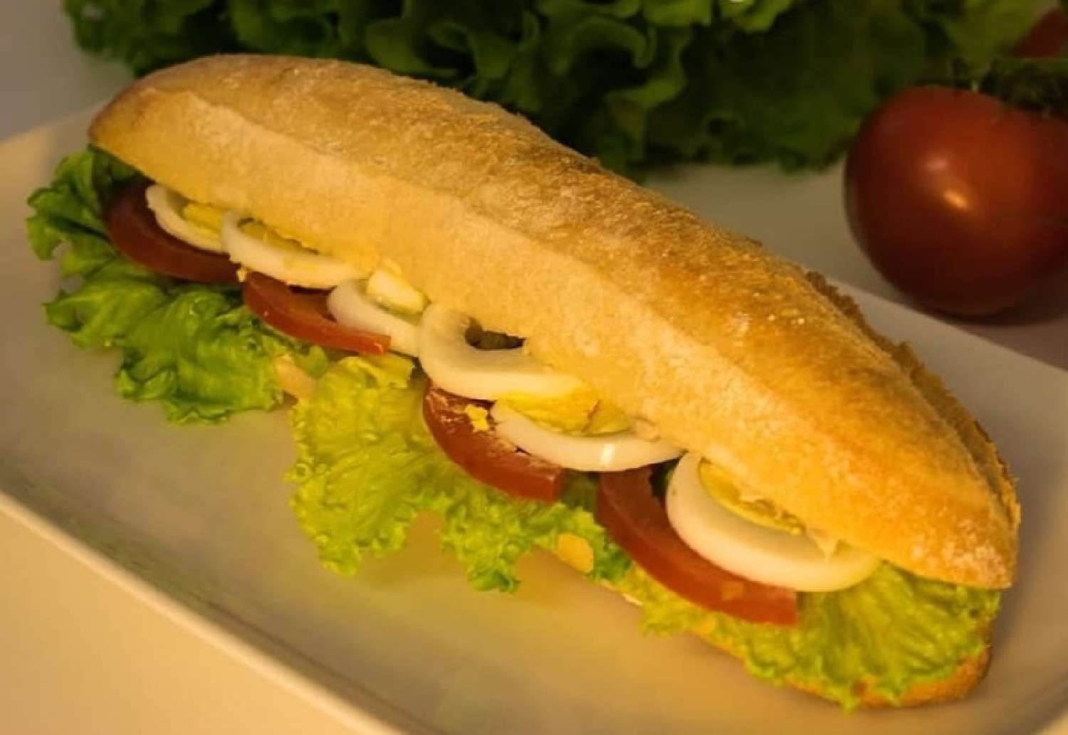  te koop huis Montpellier Hérault 5