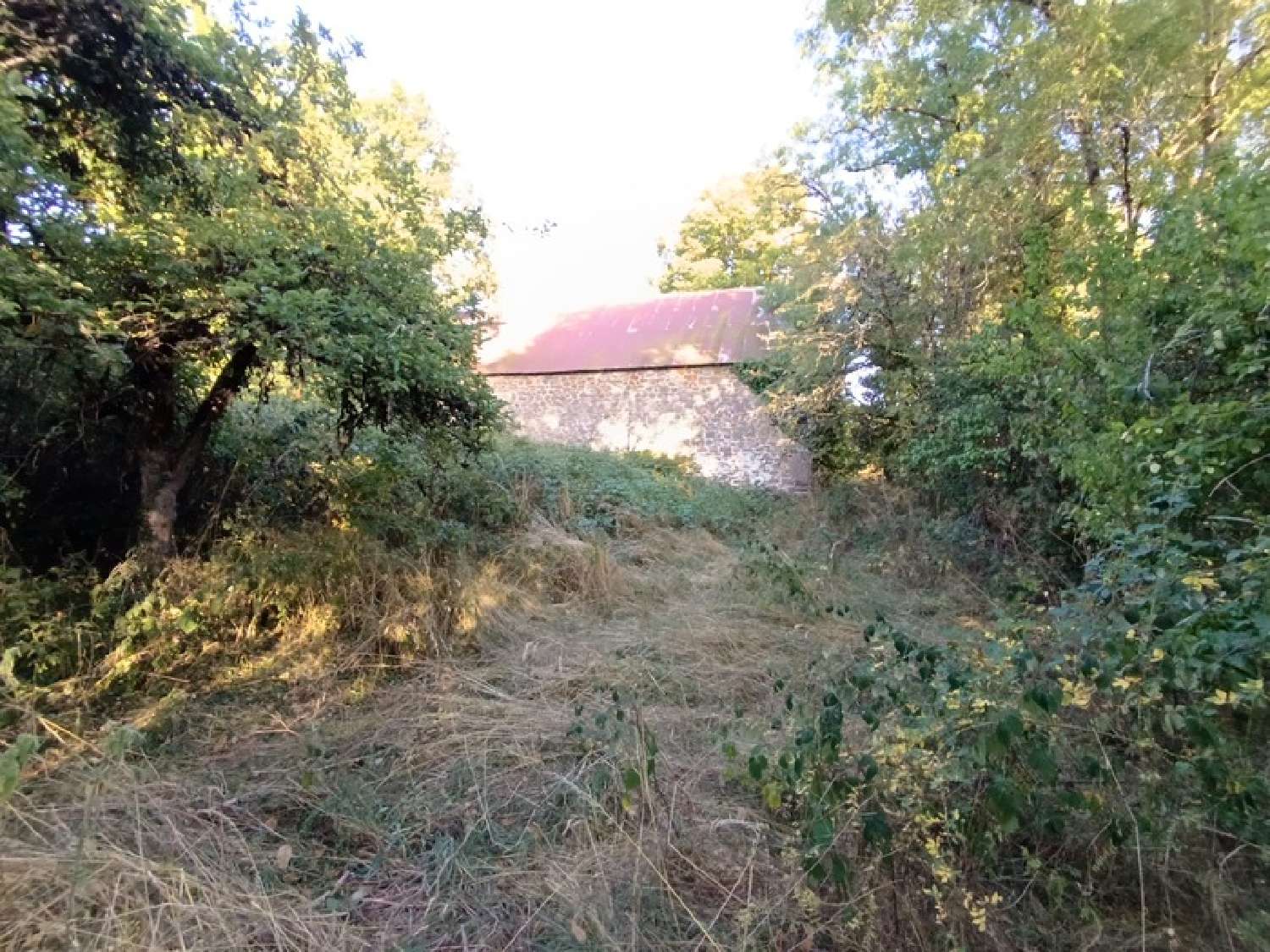  kaufen Haus Moussages Cantal 7