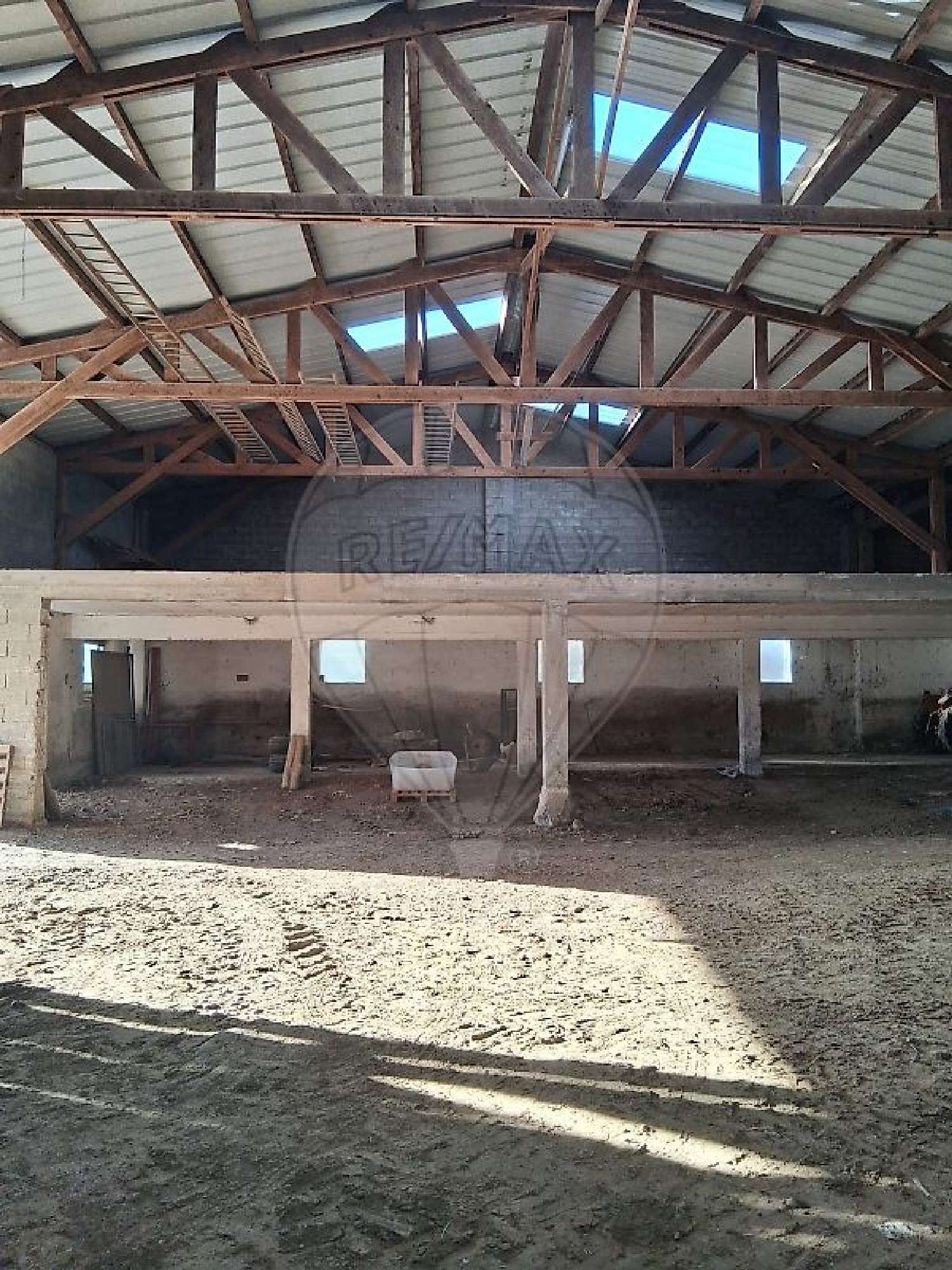  à vendre maison Muespach-le-Haut Haut-Rhin 5