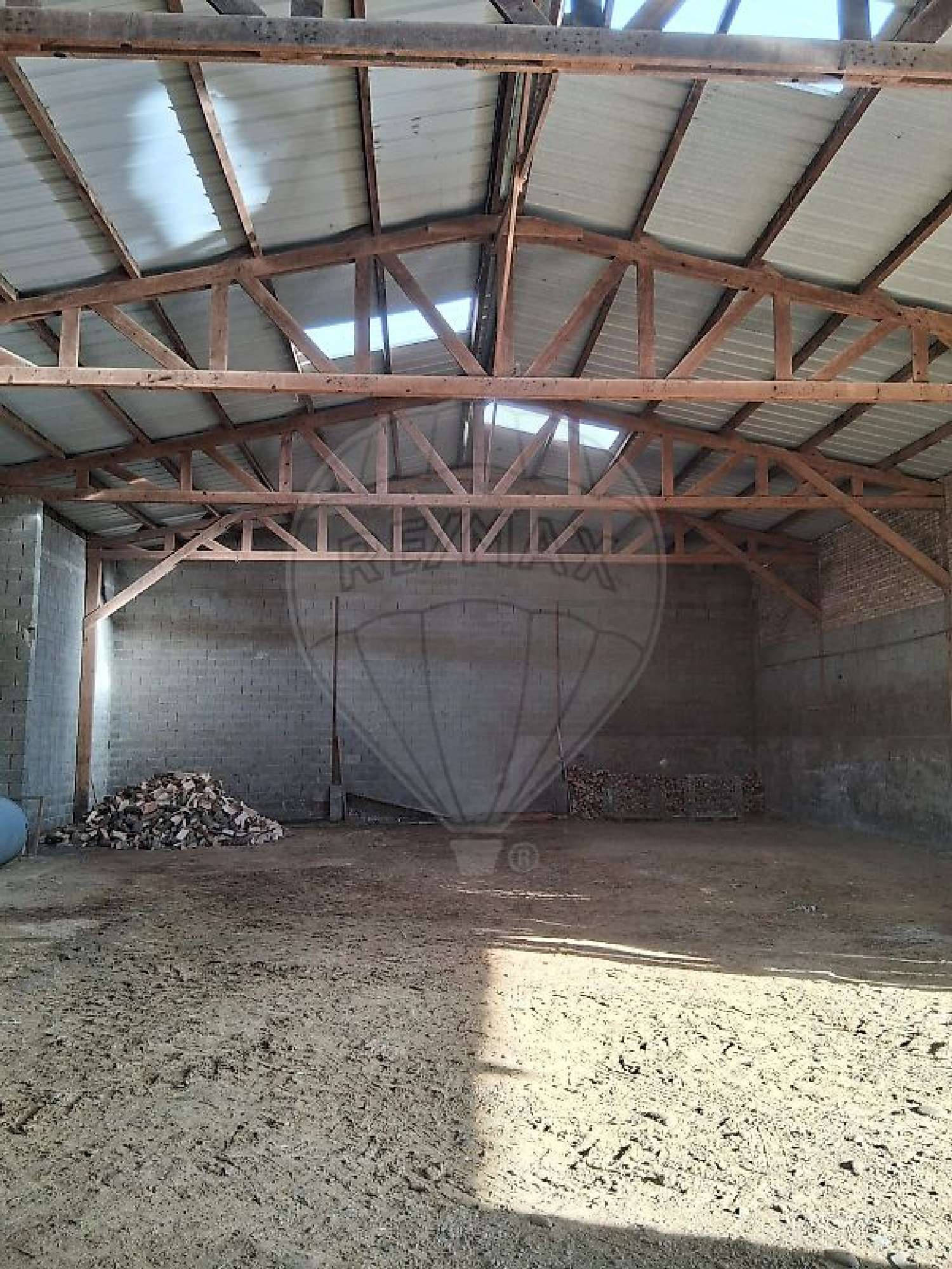  à vendre maison Muespach-le-Haut Haut-Rhin 6