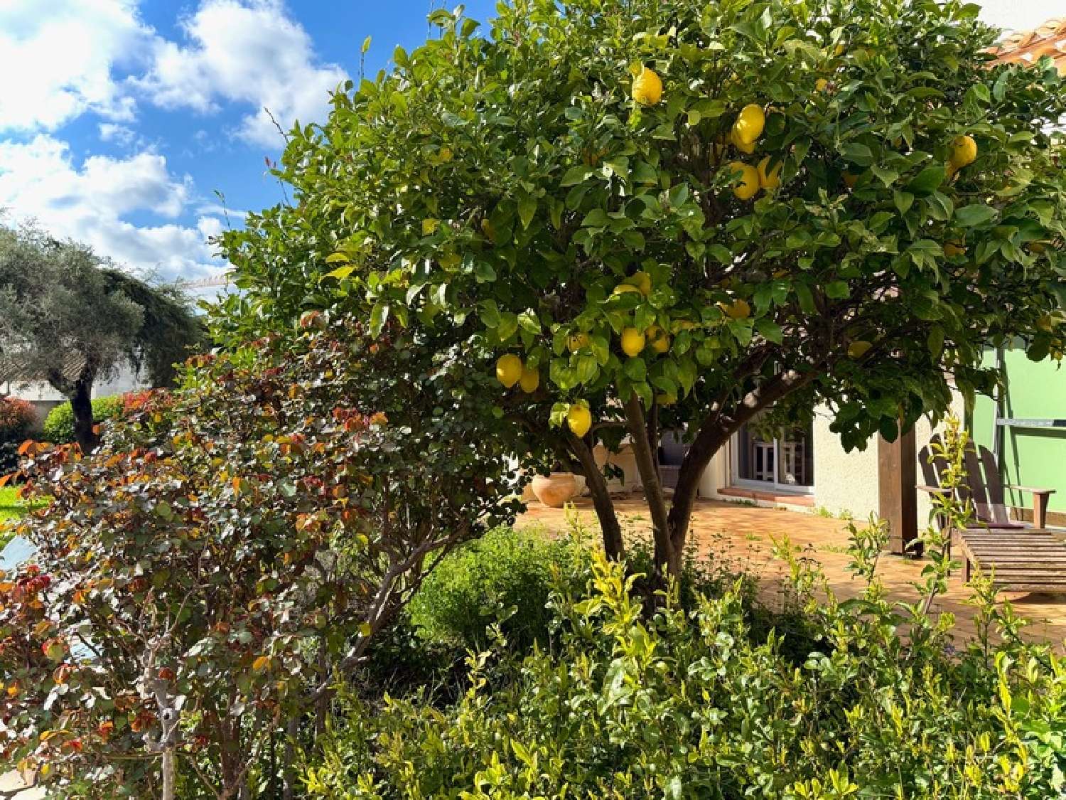  en venta casa Narbonne Aude 7