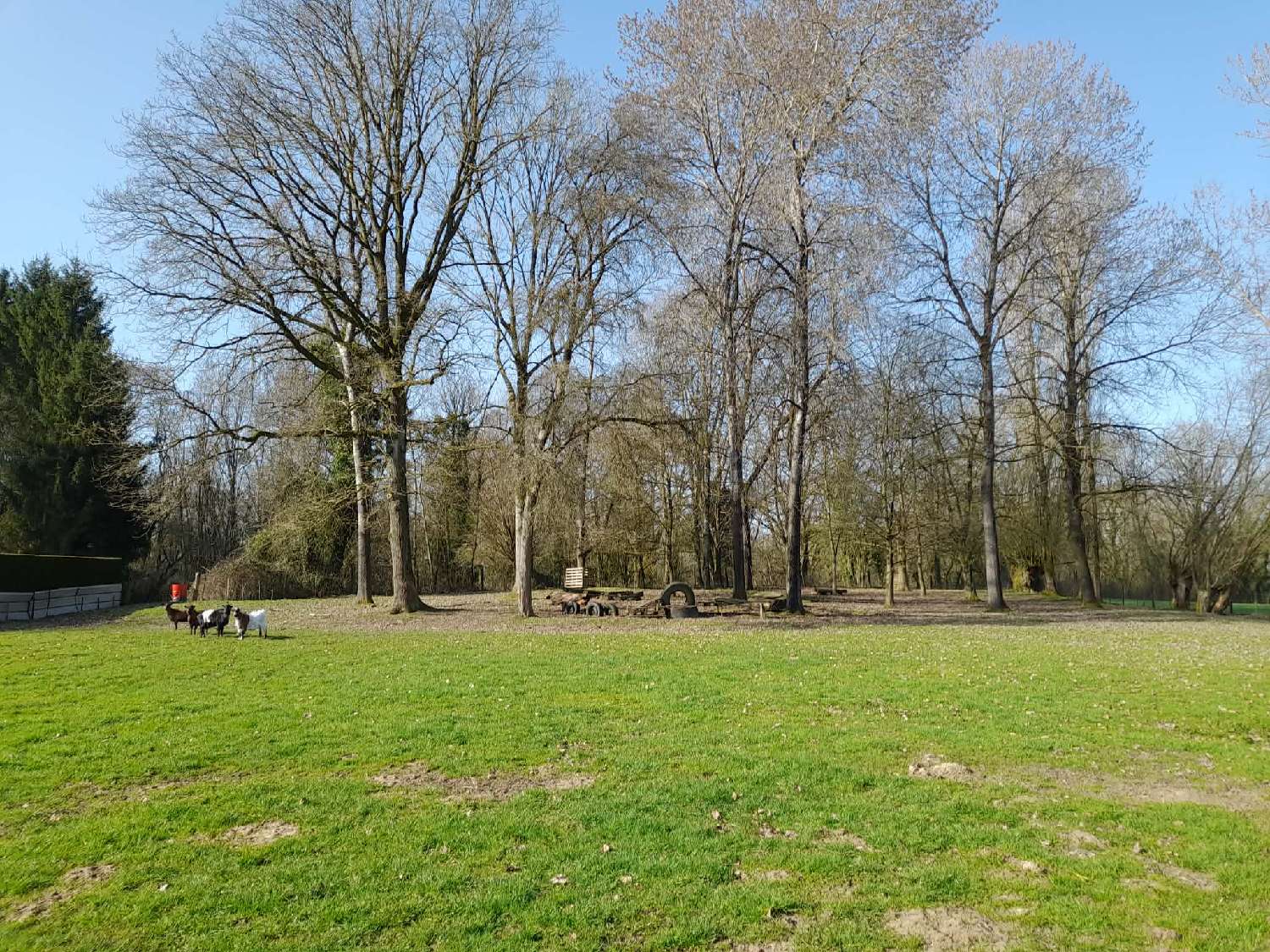  for sale house Neuve-Maison Aisne 3