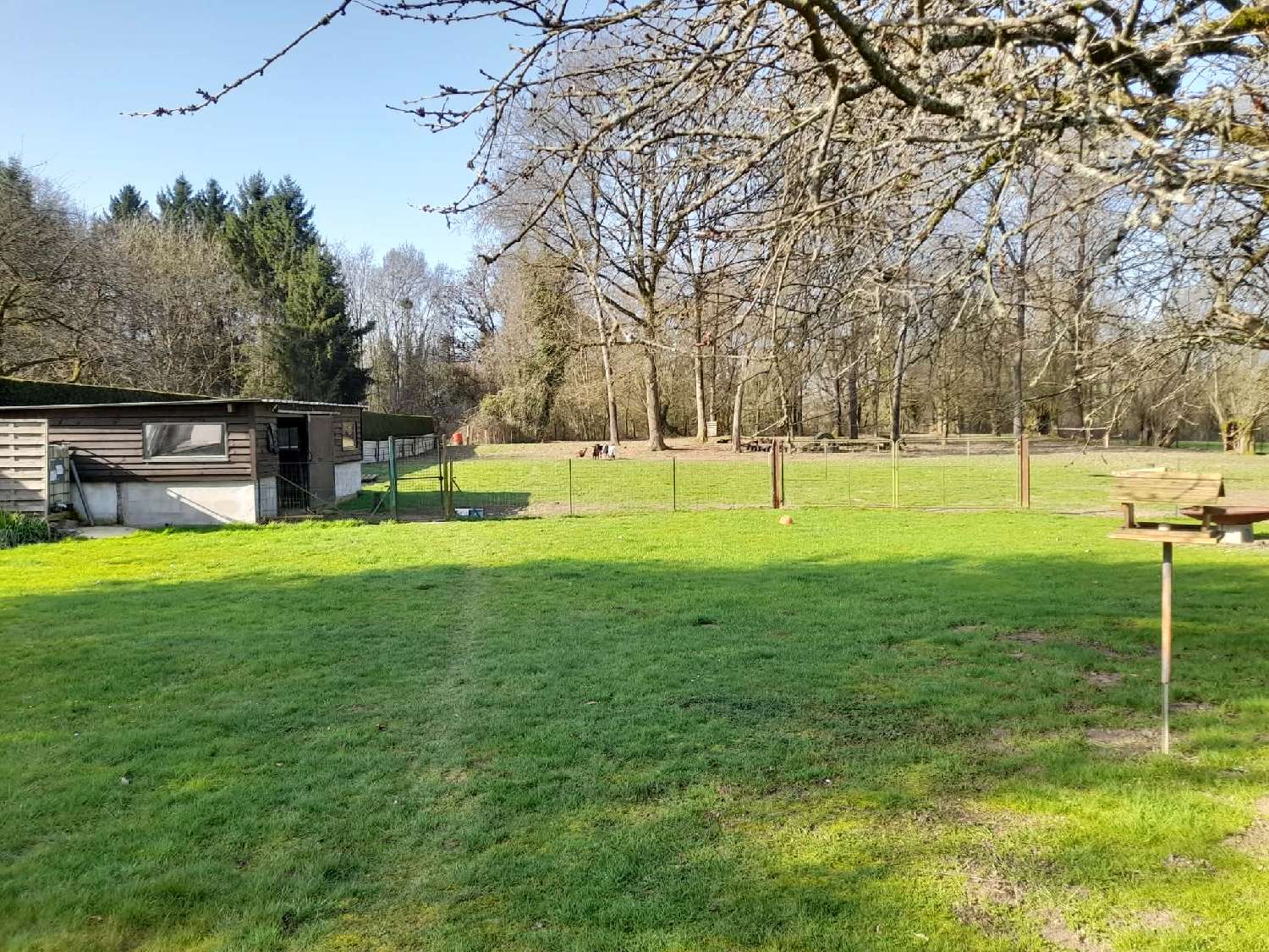  for sale house Neuve-Maison Aisne 6