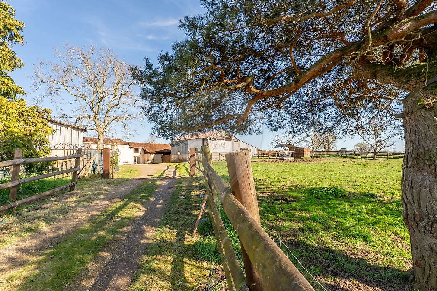  à vendre maison Neuville-les-Dames Ain 2