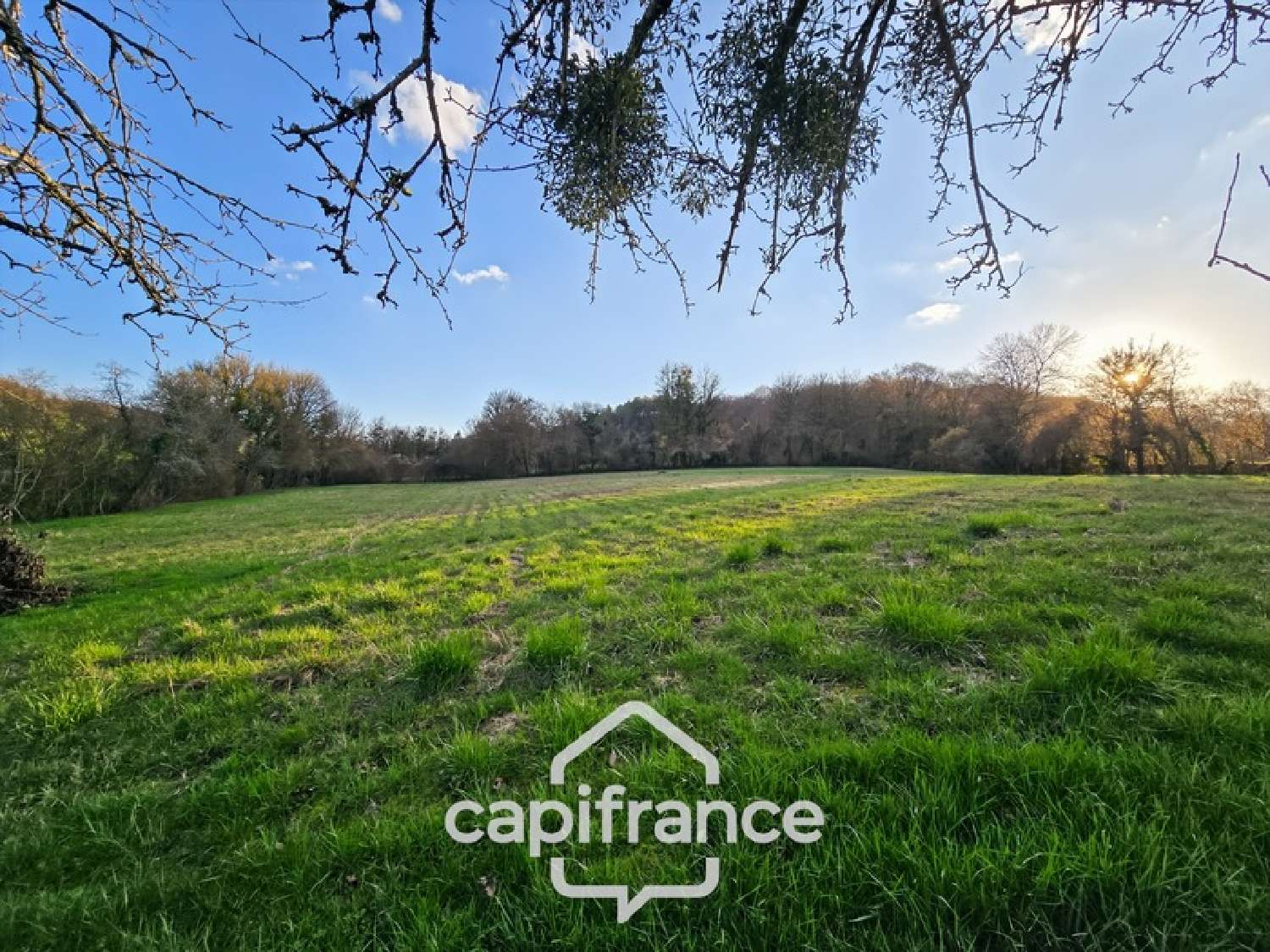 for sale house Nolay Nièvre 5