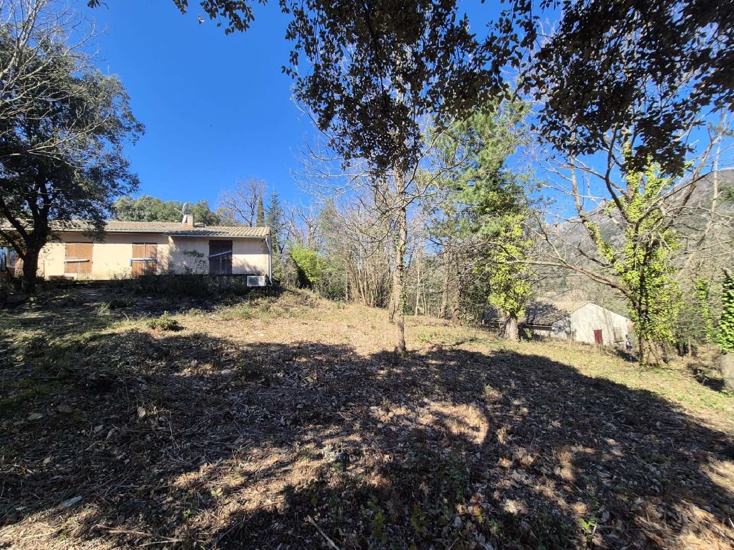  te koop huis Olargues Hérault 3