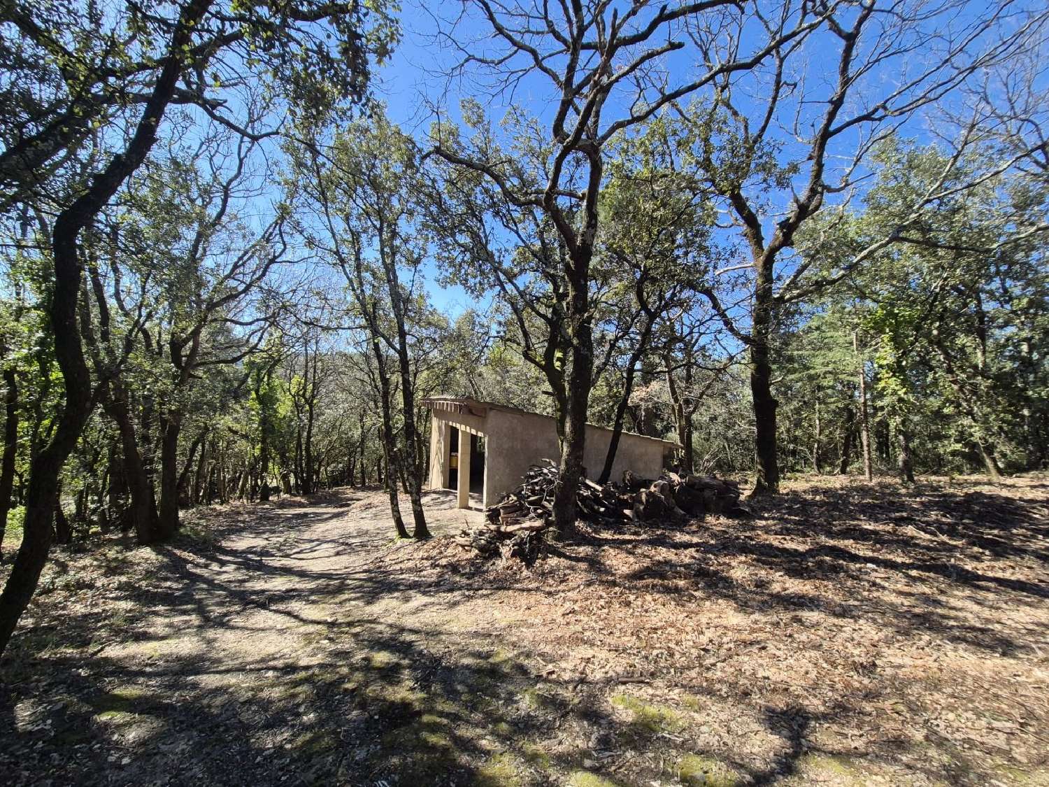  te koop huis Olargues Hérault 4