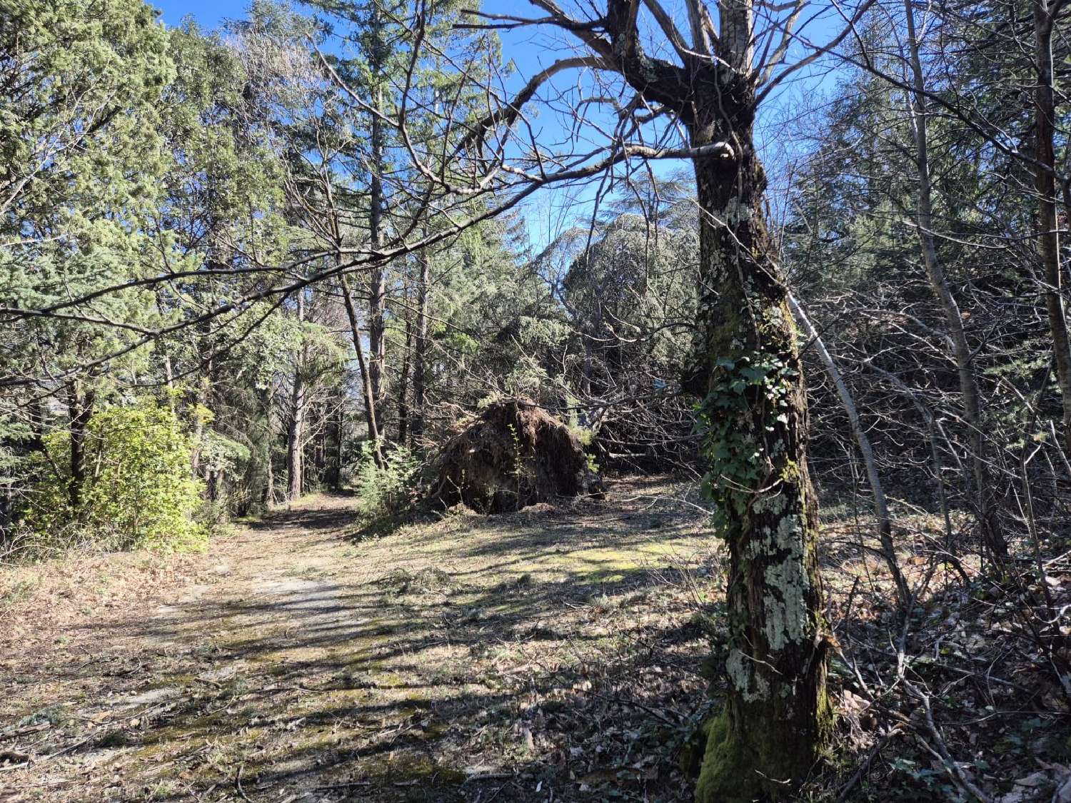  te koop huis Olargues Hérault 8